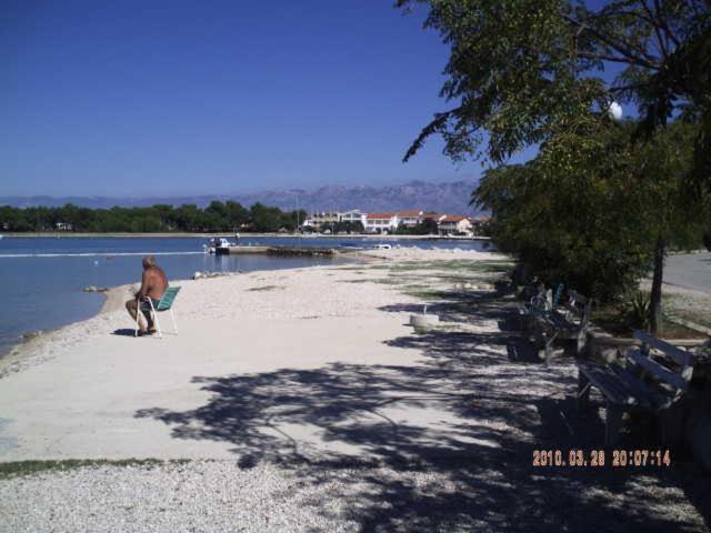 Palma * Vir