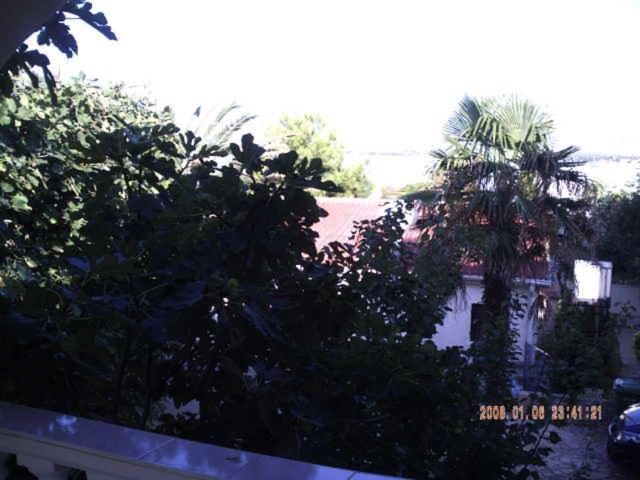 Palma Apartment *